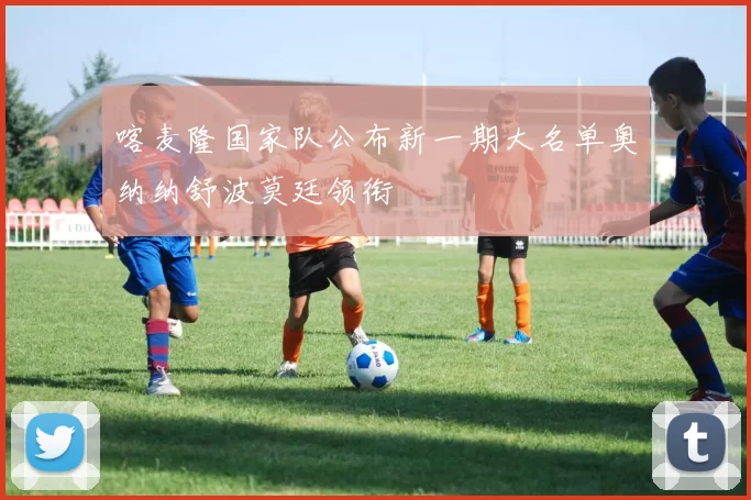 喀麦隆国家队公布新一期大名单奥纳纳舒波莫廷领衔