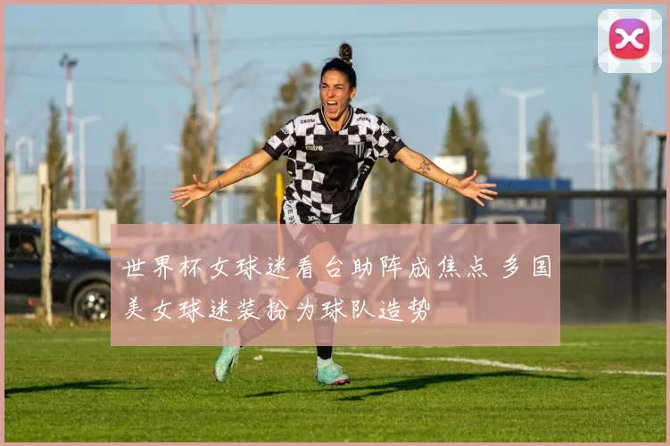 世界杯女球迷看台助阵成焦点 多国美女球迷装扮为球队造势