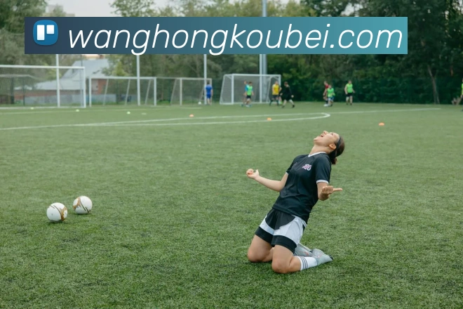 mksports官网登录平台生态图