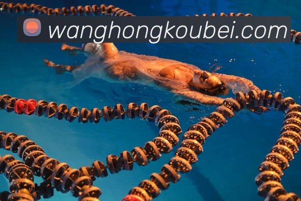 多媒体互动体验